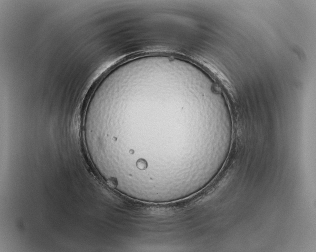 X0000116860933201001051422