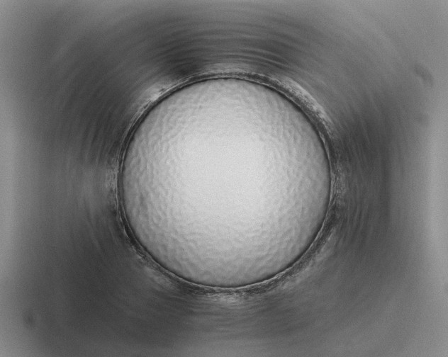 X0000116860937201001051422