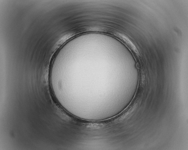 X0000116860938201001051422