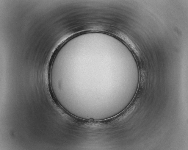 X0000116860939201001051422