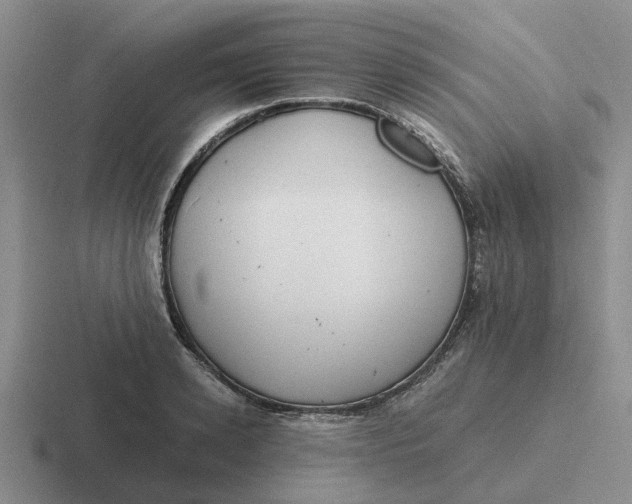 X0000116860942201001051422