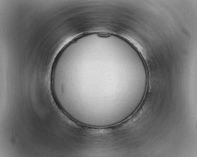 X0000116860949201001051422