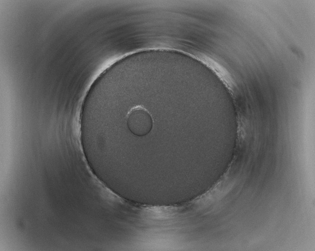 X0000116860950201001051422