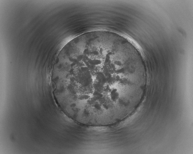 X0000116860953201001051422