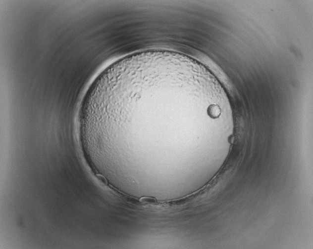 X0000116860955201001051422