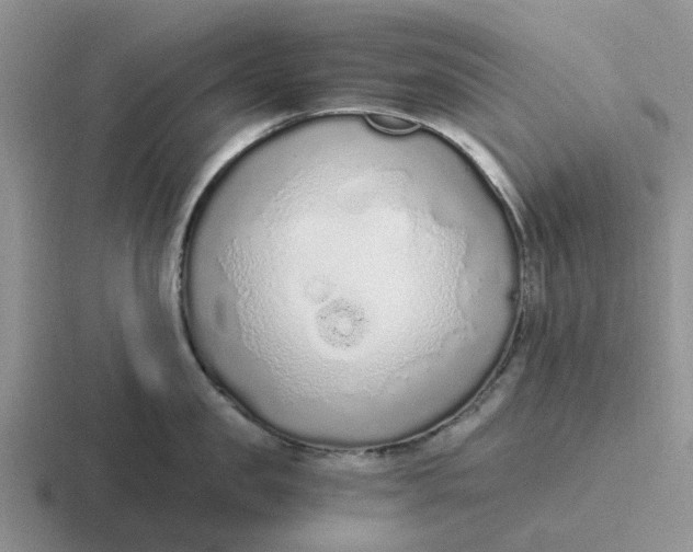 X0000116860957201001051422