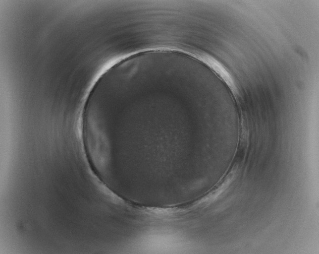 X0000116860958201001051422