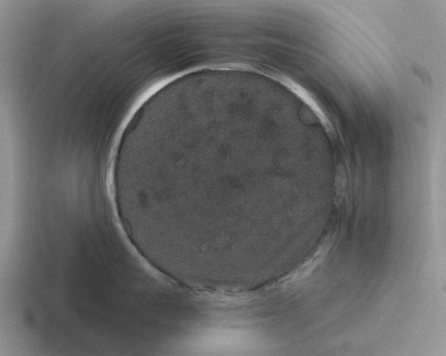 X0000116860959201001051422