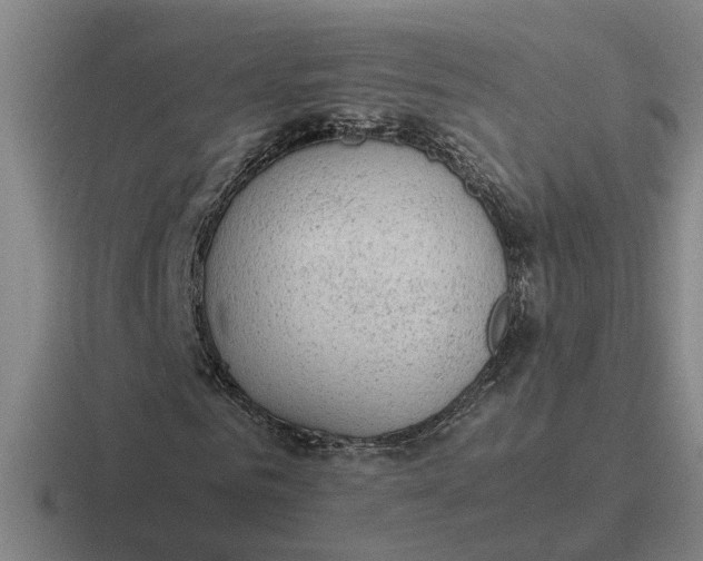 X0000116860961201001051422