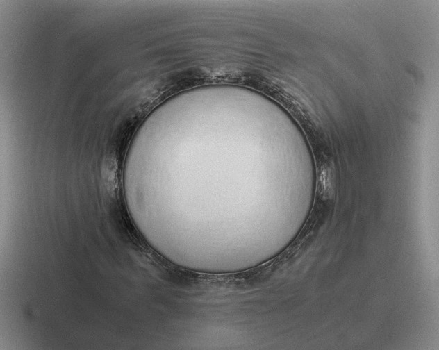 X0000116860963201001051422