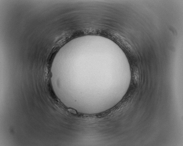 X0000116860964201001051422