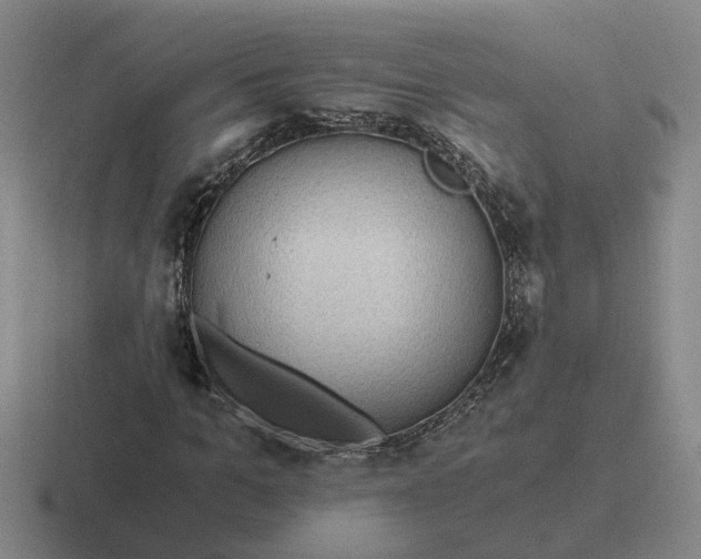 X0000116860965201001051422