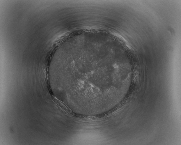 X0000116860966201001051422