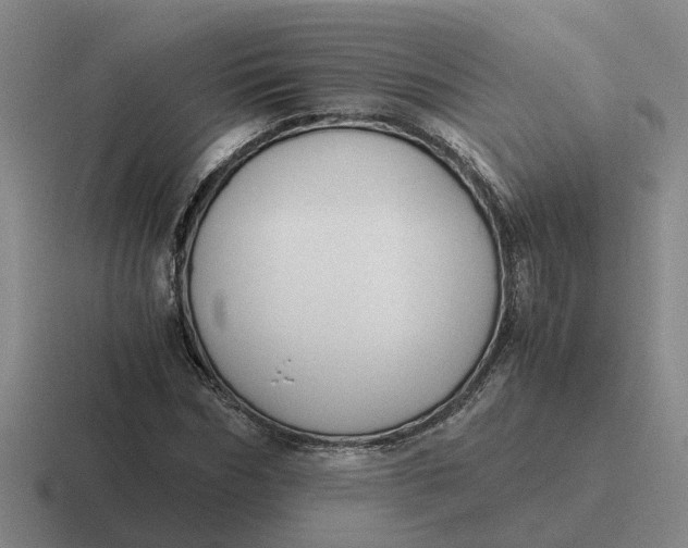 X0000116860970201001051421