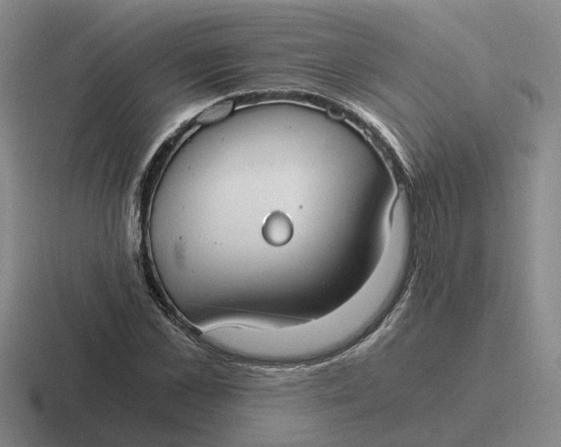 X0000116860973201001051421