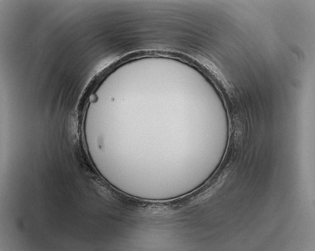 X0000116860974201001051421