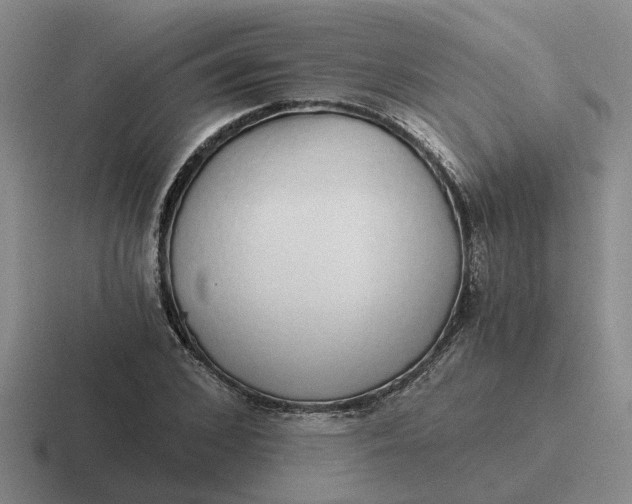 X0000116860976201001051421