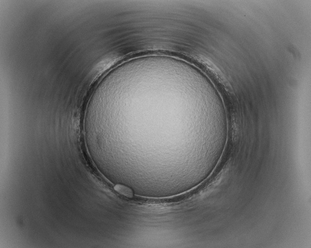 X0000116860977201001051421