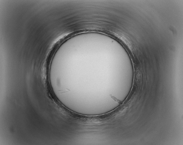 X0000116860979201001051421