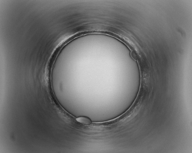 X0000116860981201001051421