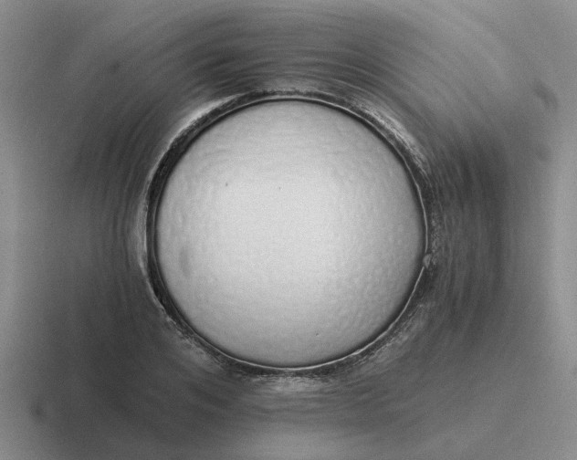 X0000116860984201001051421