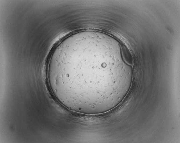 X0000116860987201001051421