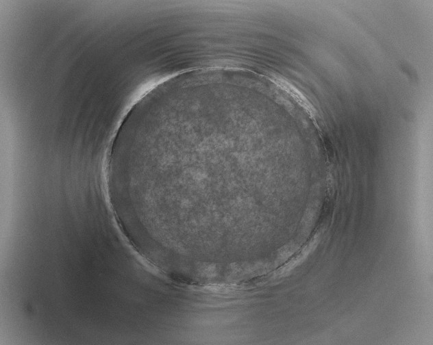 X0000116860989201001051421