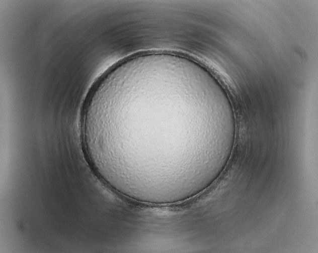 X0000116860990201001051421