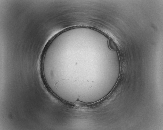 X0000116860991201001051421