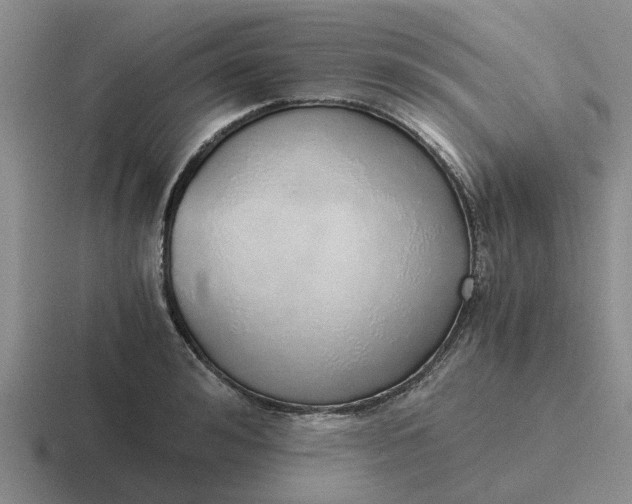 X0000116860992201001051421