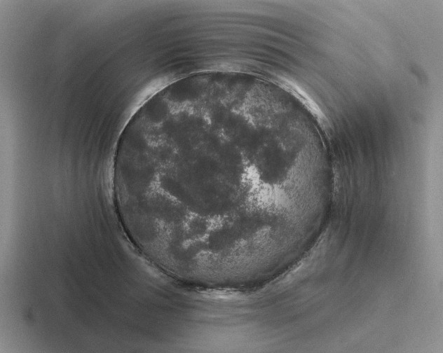 X0000116860994201001051421