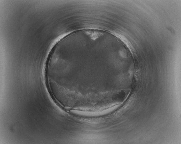 X0000116860995201001051421