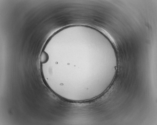 X0000116860996201001051421