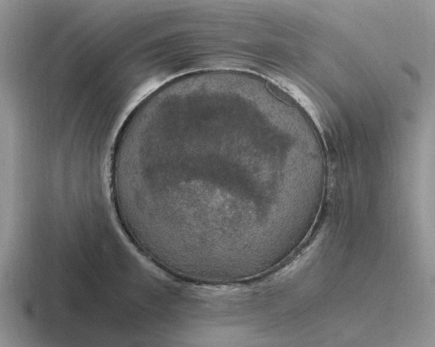 X0000116860997201001051421