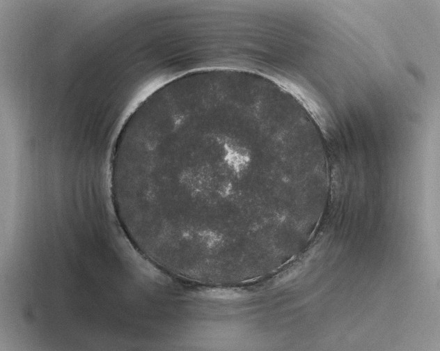 X0000116860998201001051421