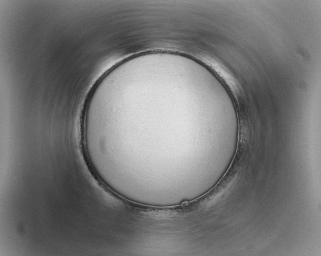 X0000116860999201001051421