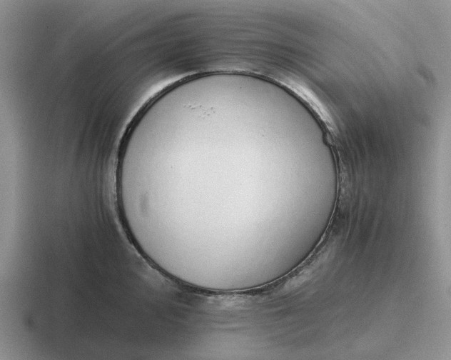 X0000116861000201001051421