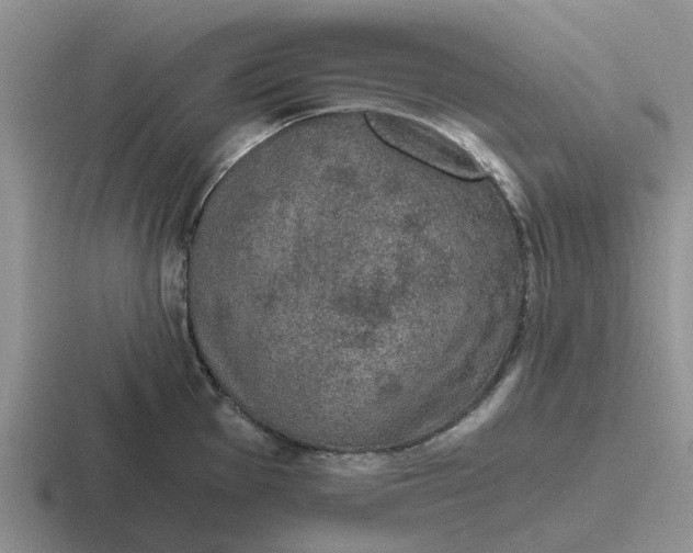 X0000116861001201001051421