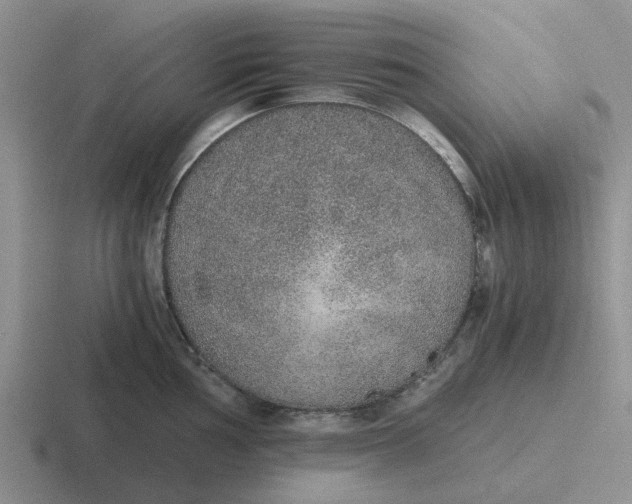 X0000116861002201001051421