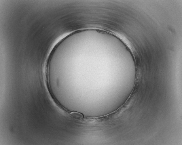 X0000116861003201001051421