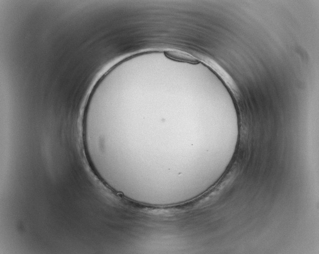 X0000116861004201001051421