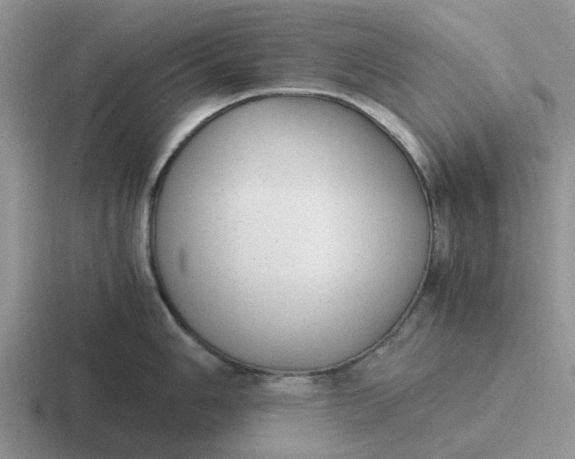 X0000116861006201001051421