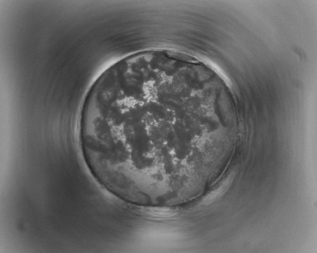 X0000116861007201001051421