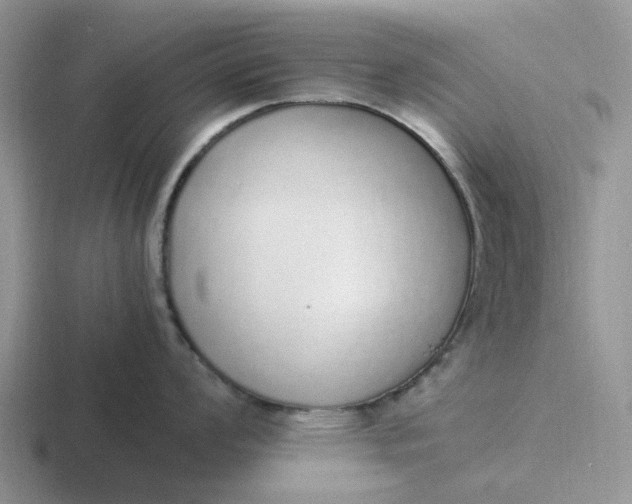 X0000116861008201001051421