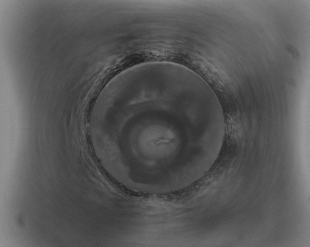 X0000116861009201001051420