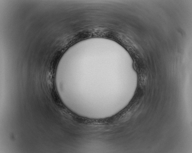 X0000116861010201001051420