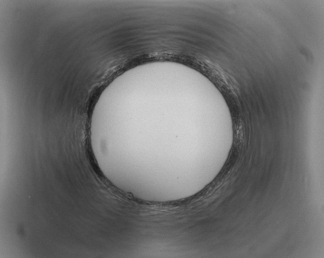 X0000116861012201001051420