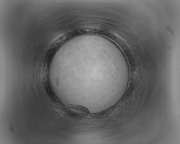 X0000116861014201001051420