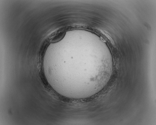 X0000116861015201001051420