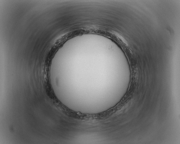 X0000116861016201001051420